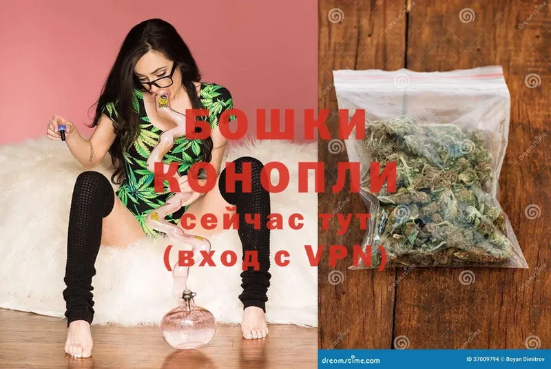 Конопля THC 21%  omg   Острогожск 